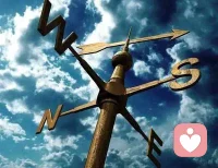 让过去，成为过去；让未来，归于未来。

过去遗忘的伤痛，会造成生命力的遗失。每一份不被看见的伤痛，都需要消耗生命力去掩盖。

每一份被看见，被承认的伤痛。它们都会自然归于过去，曾经掩盖伤痛的生命力就会自然回归。