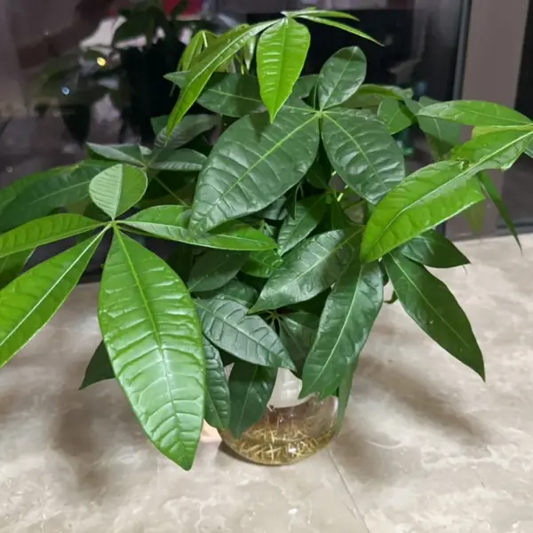 你说我听