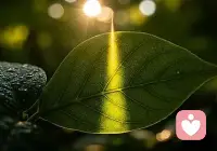 微小的日常，可以治愈很大一部分坏情绪。不必等待重大的喜事来拯救低落的自己，一杯热水，傍晚的晚风，散步看落日，好好睡一觉。生活里细碎温柔的小事，都是情绪的缓冲剂。学会捕捉平凡的美好，内心会多很多自愈的能力。