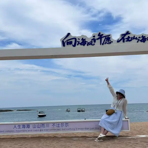 蒲公英泡茶喝