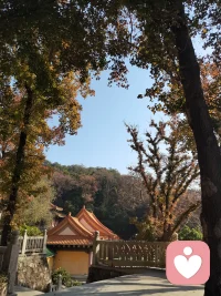 执念就是你坐在地上撒泼打滚，拒绝接受“实然”。你觉得只要我不承认这个结果，只要我还在痛苦，我就能用我的意志力把现实扭转回去。你把自己当成了这个宇宙的立法者，你觉得现实世界必须按照你的逻辑来运行。