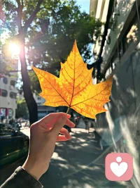 压抑久了，人真的会慢慢弄丢自己。
分不清是没脾气，还是不敢有脾气；
是无所谓，还是不敢期待。
那不是你变好了，是你撑太久了。
如果你累了，就在这里歇一歇。
那个被藏起来的你，值得被自己重新看见。💛