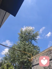 蓝天白云是很多人的奢望，因为很多人一直都在低头拉磨，然后累死，忘记了抬头看天。