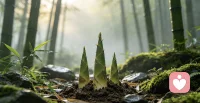 一场大雨落下，泥土被充分浸润。埋在地下许久的竹笋，借着这场雨水奋力破土，节节向上生长。
它们默默积蓄力量，熬过沉寂无光的日子，等到时机到来，便冲破土层，舒展新枝。
人亦是如此。很多时候我们看似停滞不前，其实都在默默扎根。那些难熬、安静等候的时光，不是虚度，而是积蓄力量。不必急于看见成果，耐心等候，当合适的时机来临，你也会如同雨后春笋，蓬勃生长。
