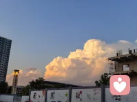 你一定要相信，自己是一个幸运且有福气的人，要相信一切都会好起来，而且越来越好，人只要调整好心态，气运就会向上走，你就会越来越顺利，日子舒心，孩子省心，工作顺心，吃得香，睡的好，好运连连，福气满满，开心过好每一天