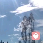 爱意随风起的头像