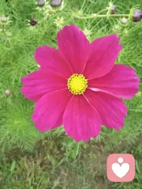 收下善意，守住本心，
不追影子，静待自己发光。