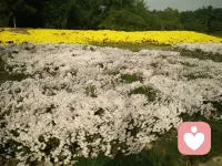 慢慢学会把情绪安放妥当。
不必等待谁来给我确定的答案，好好吃饭，认真打扮，守住内心的沉稳。
生活的美好，藏在照顾好自己的每一个小瞬间里☀️