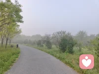 风是温柔的，生活值得，每一天都在变好🌿