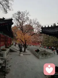 心中有阳光，方能接纳世间万千情绪，愿我们都与美好不期而遇🌷