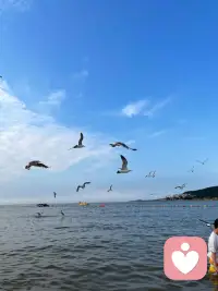 大海从不拒绝汹涌，也接纳平静。
就像人的情绪，有浪潮翻涌，也有归于安宁的时刻。
站在海边，看海鸥盘旋，看落日沉向海面，很多拧结的心事，会被海风慢慢化开。
不必逼迫自己时刻坚强，情绪可以安放，一切都可以慢慢诉说。