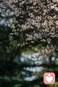 情感的高低位取决于人格的完整度与内核能量

人们往往向上追逐圆满，但真正的圆满者因自足而无需外求

所以解决情爱痛苦，本质也是修缮自我人格，当自性圆满不再将关系视为必需时，爱情便从“救命稻草”升华为“锦上添花”。