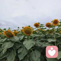 事，看透就好，人看穿就好，时间会让人一边成长，一边感悟。