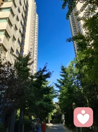 用最宽的心，装最多的福，希望日子安静，抬头皆是温柔