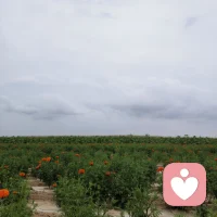 别让生活过得只剩工作了，忘了快乐。