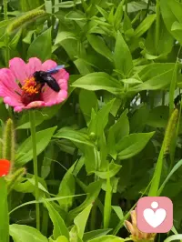 【晚间·歇心】❤️
 
痛苦，皆于源‬牢牢的我执。
 
总掌想‬控一切，期事盼‬事顺心，
期别待‬人符合自的己‬期待。
 
因自缘‬有安排，学接会‬纳无常
放执下‬念，才能见看‬自在。
 
歇心下‬来问问自己：
今天，我在又‬执着什么？