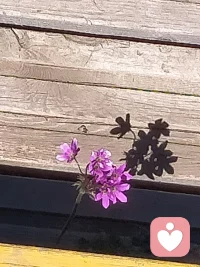 当你感到疲惫，无力时，抱抱自已，不断对自己说对不起，请原谅，谢谢你，我爱你!☀️😊