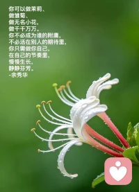 有人说！所有的人都正常了，咨询师该痛苦了！！
错！咨询师会做自己，活的通透开心！
希望大家都开心！