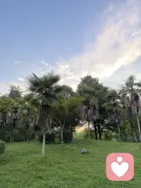 我们以为疗愈像修复故障：清零问题、删除情绪、抹平创伤。
但深度心理咨询，从来不是“修复故障”，而是“淬炼心灵”。
它更像古老的炼金术：不是扔掉杂质，而是转化杂质；不是消灭黑暗，而是让黑暗重生。