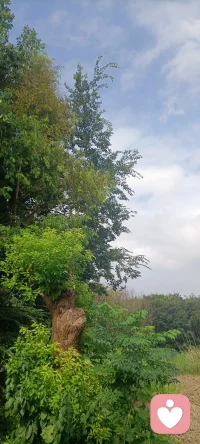 天气好，心情好，温度好