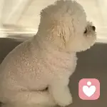 小熊伴听的头像