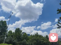 愉快的周末就要结束了，挣钱的时候马上到来！配图