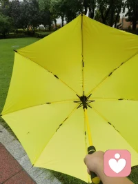 很喜欢的一把雨伞！配图