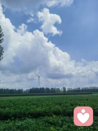 城里累了，就回村里歇歇！