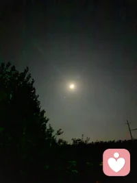 一只羊，两只羊，三只羊，四只羊，五只羊，六只羊，七只羊，八只羊，九只羊，羊，羊，羊……