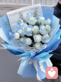💌 花语
 
送你星辰大海，遇见你是浪漫的开始；
也代表：希望、清澈的爱、沉默的守护
