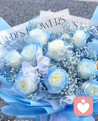 💌 花语
 
送你星辰大海，遇见你是浪漫的开始；
也代表：希望、清澈的爱、沉默的守护