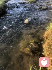 暑气未消，秋风已至🍂
立秋悄然而来，盛夏慢慢退场。
白日依旧燥热，早晚已有微凉。
不必匆忙和夏天作别，
那些未完成的期待，没释怀的遗憾，
都交给秋风慢慢抚平。
愿秋安，日子沉淀，所得皆所期。