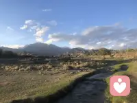 暑气未消，秋风已至🍂
立秋悄然而来，盛夏慢慢退场。
白日依旧燥热，早晚已有微凉。
不必匆忙和夏天作别，
那些未完成的期待，没释怀的遗憾，
都交给秋风慢慢抚平。
愿秋安，日子沉淀，所得皆所期。