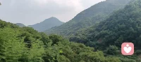 早上醒来，一切好安静，听着鸟叫，心里很舒服，我就是你心灵的加油站，需要就来歇歇脚。