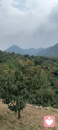 准备好了，随时找我聊天。