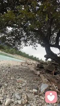 适合吗？本就没有最适合的人，懂比爱更重要……在这个喧嚣的城市里，寻一方净土，让心席地而坐……