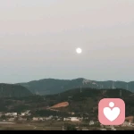 与月儿说的头像