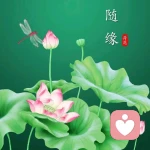 朝悦的头像