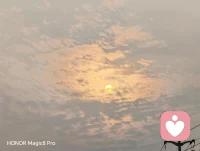 晨有牵牛盛放，抬头遇见早阳流云

平凡清晨，也满是温柔光景！