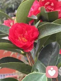 恋爱最好的状态是，想联系就联系，自己有自己的生活，知道你爱我，我也爱你。不内耗，相互理解尊重