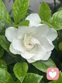 恋爱最好的状态是，想联系就联系，自己有自己的生活，知道你爱我，我也爱你。不内耗，相互理解尊重