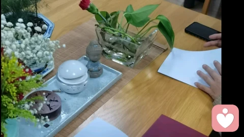 亲子     学校霸凌