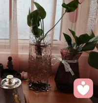 每个人有每个人的课题，从前不太懂老师教授的知识，表面的知识不是内心的真实感受

这段时间我一直在探寻自己，探寻自己心底的那个小孩，让我意识到了我的匮乏
匮乏的人如空杯，不断向外抓取往里灌水，而内核稳定丰满就如同溢出水的杯子，更慈悲。
我突然意识到从父母那里都没有得到的东西，在别人那里更得不到，压根就没有这样的事。
我通过一些事情完成不断索取，匮乏，失望，难过，痛苦，才意识到向内求，觉察，看见，无助，羞耻，愤怒，攻击，接纳，抱抱无助的小孩，拥抱当下的自己，开始心疼自己
从而看到并开始改变，正常生活，喝一杯茶，看一本书，做一顿饭，安安稳稳。
当我完成自我整合和接纳自己，我突然明白了缘分来了接，缘分走了送，我什么都不想要了
不再执念，也不期待。或许这就是老师说的精神躯体安住于当下！
自我成长