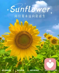 愤怒不是坏事，看见它背后的委屈
允许情绪被看见，而不是被压抑，
能量才能真正流动。