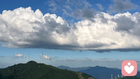 人到中年,你睡过安稳觉吗?