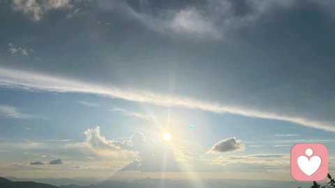 每天清晨拥挤在充斥着各种气味的地铁里,你在想什么?