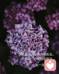 今天一个倾诉者问我，你不缺钱，为什么来这里，因为我觉得一个人来到这个世界上不容易，而每一个人都是一个巨大的能量体，而每个人来到这个世界上都有自己独具价值的事情要做。

小时候为了学业，工作、金钱奔波，在应该与责任之间来回横跳，但我好像从来没忘记自己的爱好，利用工作之余考证，我知道我身上有一股疗愈的力量，可以化腐朽为神奇。用心理学的专业名词来说，可以把“没有被周围人个环境接住的灰色能量，俗称死能量，转化成彩色能量，也就是生能量”。

这是我发自内心喜欢做的事情。

还有我要在有生之年建立一座文字大厦，为后人记录和描述我们生活的这个时代，就像路遥的《平凡的世界》，柳青的《创业史》

感恩遇见♥