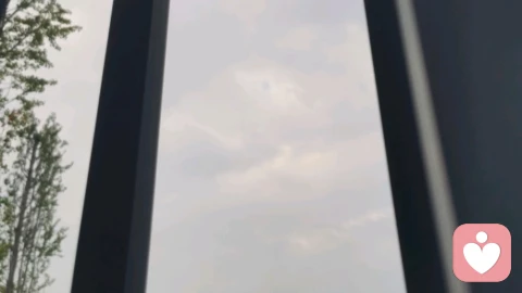 栏杆之外，自有云天