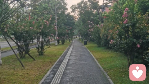 向前走,慢慢释怀