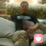 vovo的头像